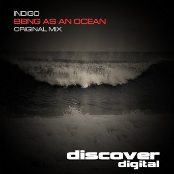 Indigo – Being as an Ocean