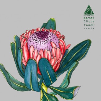 Kame2 – Clique