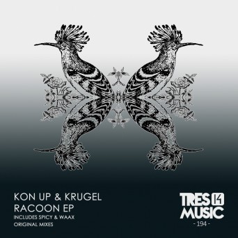 Kon Up & Krugel – Racoon