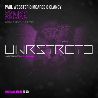 Paul Webster, McAree & Clancy – Snake (Casey Rasch Remix)