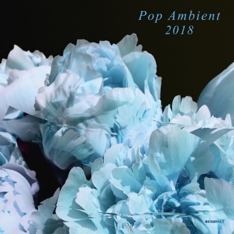 VA – Pop Ambient 2018