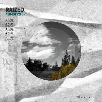 Raized – Numbers EP