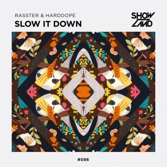 Rasster & Harddope – Slow It Down
