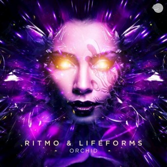 Ritmo & Lifeforms – Orchid