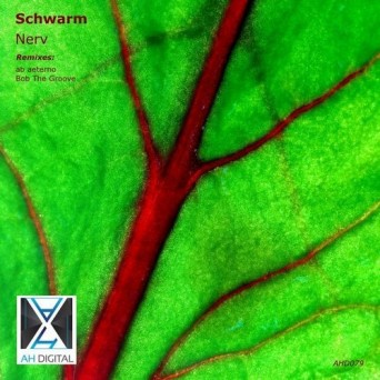 Schwarm – Nerv