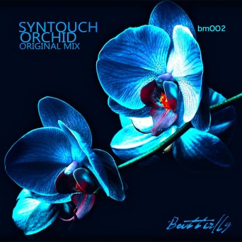 Syntouch – Orchid