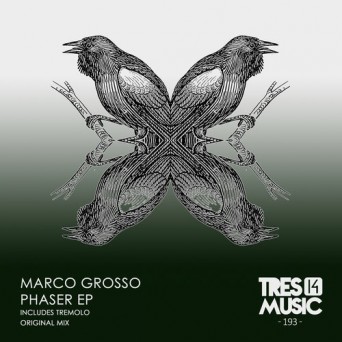Marco Grosso – Phaser