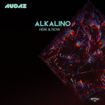 Alkalino – Here & Now