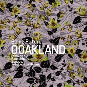 Sonic Future – Ooakland