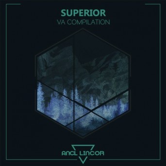 ANCL Lincor: Superior