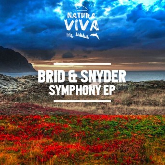 Brid & Snyder – Symphony EP