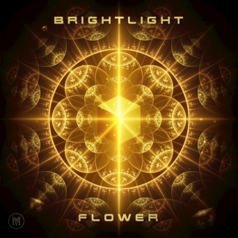 Brightlight – Flower