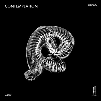 Artik – Contemplation