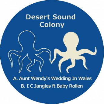 Desert Sound Colony – Aunt Wendy’s Wedding in Wales _ I C Jangles