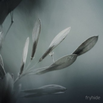 Tone Depth – The Odyssey Part 1