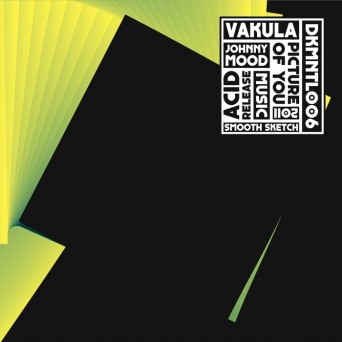 Vakula – Picture of You