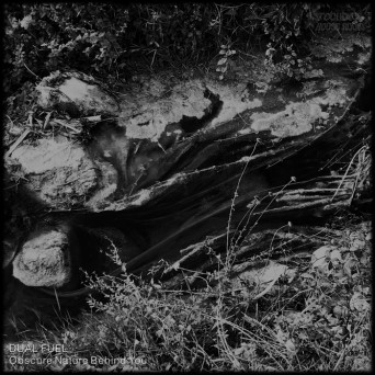 Dual Fuel – Obscure Nature Behind You