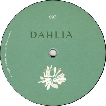 DAHLIA 997