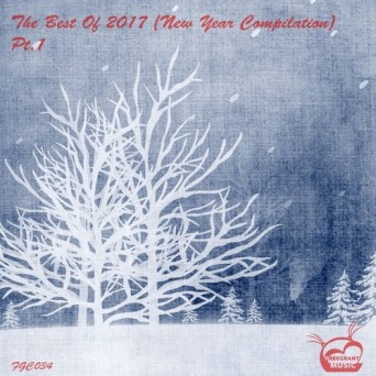 Freegrant Music: The Best Of 2017 (New Year Compilation), Pt. 1