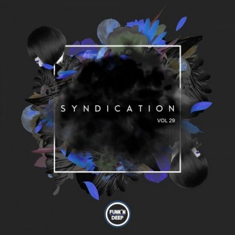 Funk’n Deep Records: Syndication, Vol. 29