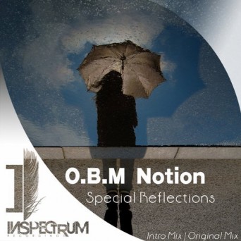 O.B.M Notion – Special Reflections