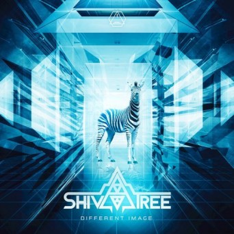 Shivatree – Different Image