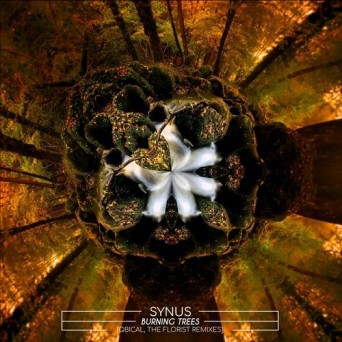 Synus – Burning Trees