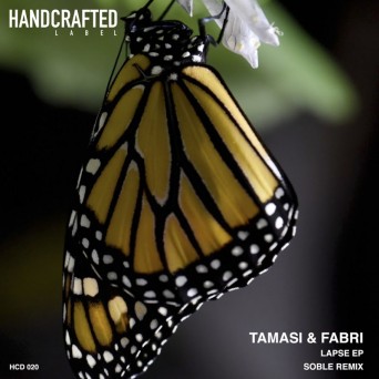Tamasi & Fabri – Lapse EP