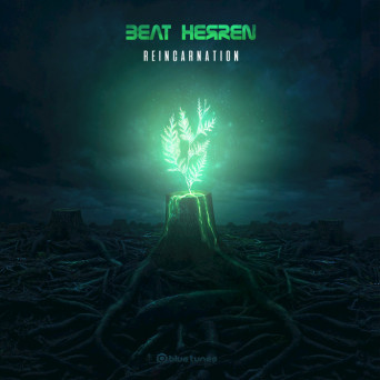 Beat Herren – Reincarnation