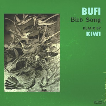 Bufi – Bird Song