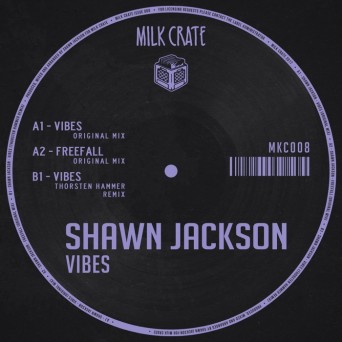 Shawn Jackson – Vibes