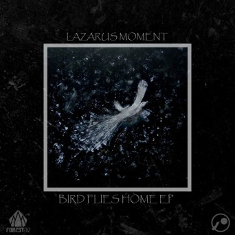 Lazarus Moment – Bird Flies Home