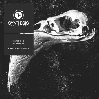 A Thousand Details – Systam