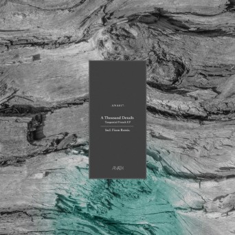 A Thousand Details – Tangential French EP