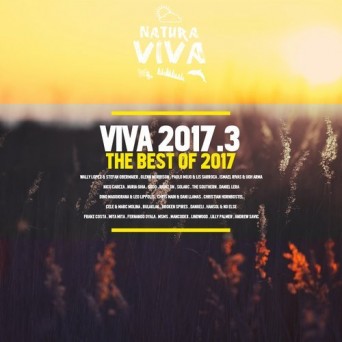Viva 2017.3