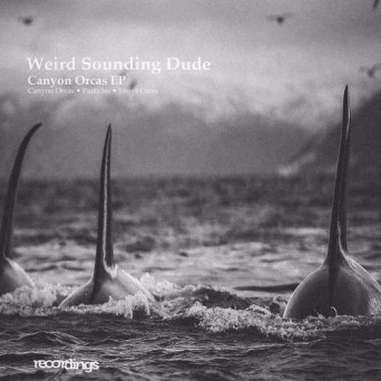 Weird Sounding Dude – Canyon Orcas