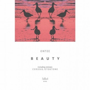 Ontee – Beauty