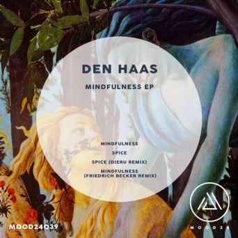Den Haas – Mindfulness EP