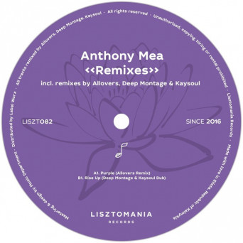 Anthony Mea – Remixes