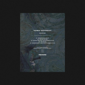Thomas Hoffknecht – Woodpecker