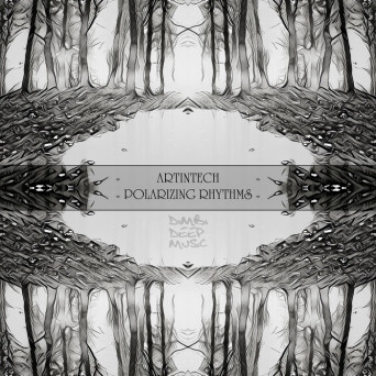 Artintech – Polarizing Rhythms