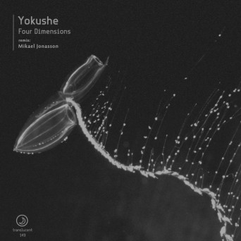 Yokushe – Four Dimensions