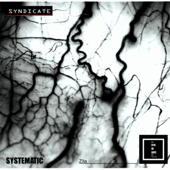 Systematic – Zila