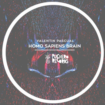 Valentin Pascual – Homo Sapiens Brain
