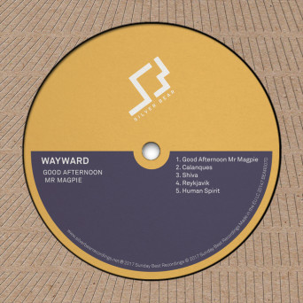 Wayward – Good Afternoon Mr Magpie