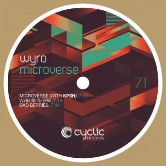 Wyro – Microverse