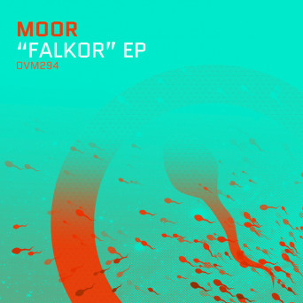 Moor – Falkor