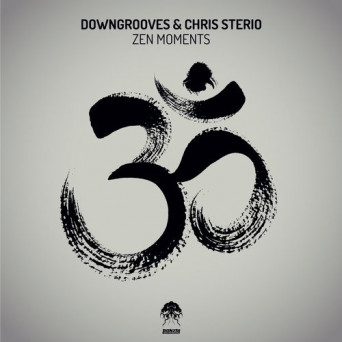 Downgrooves & Chris Sterio – Zen Moments