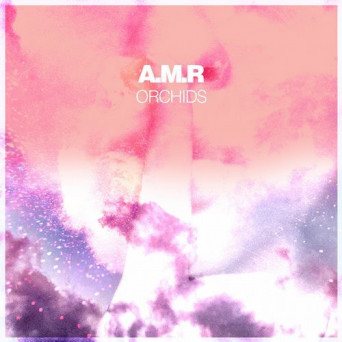 A.M.R – Orchids