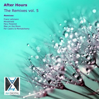 After Hours – the Remixes, Vol. 5